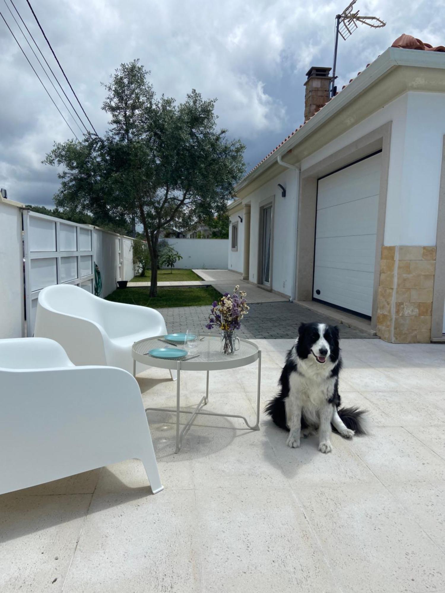 Charming Villa With Private Poll Alcobaca Luaran gambar